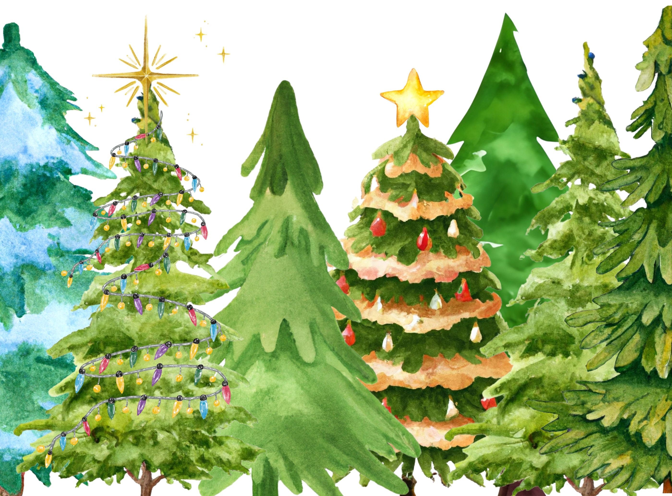 Watercolor Pine Tree Clipart Bundle: Christmas & Winter PNG Designs (Digital Download)