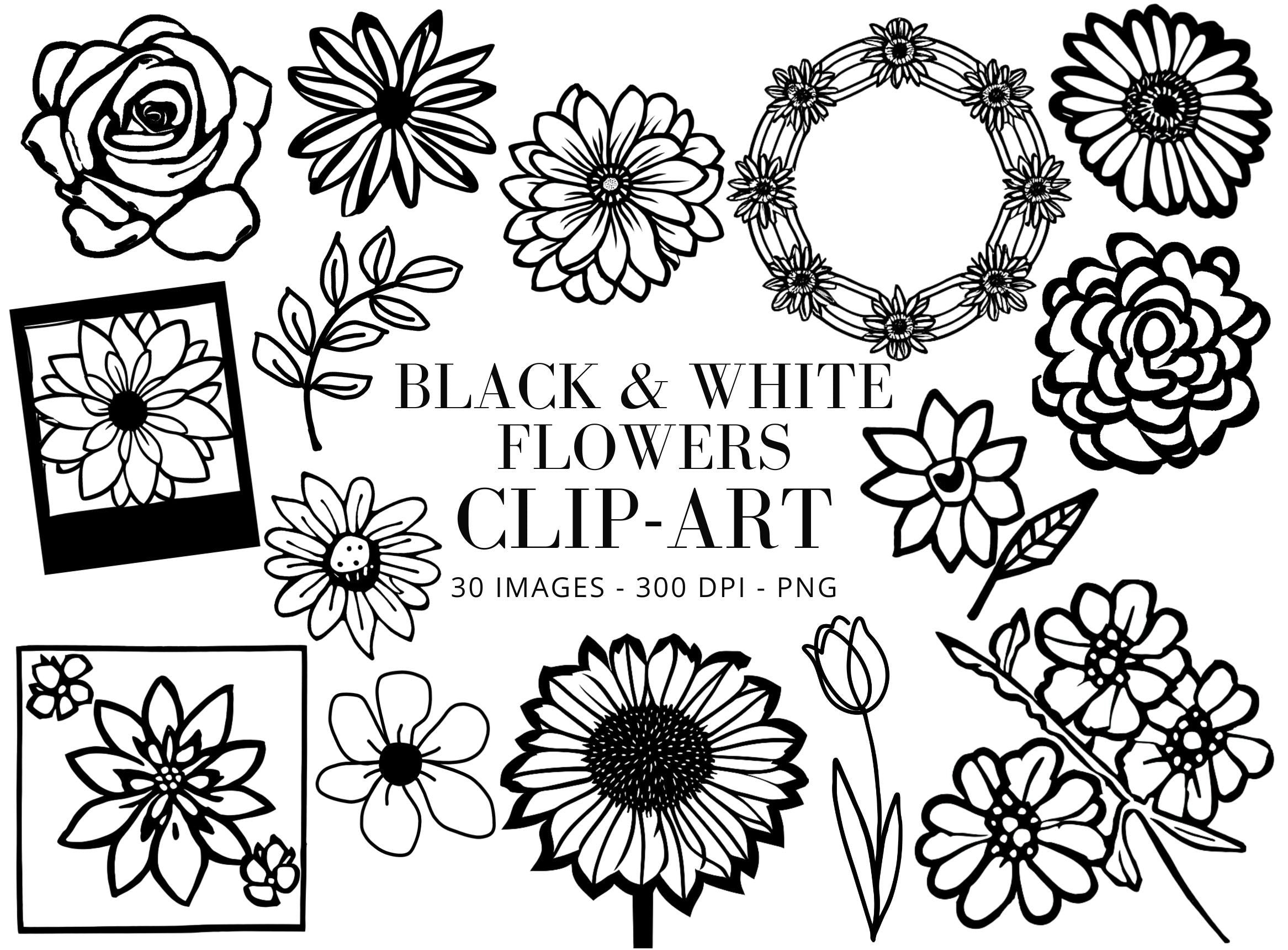 Spring Flower Illustration Bundle: 37pc Hand-Drawn PNG Designs (Digital Download)