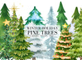 Watercolor Pine Tree Clipart Bundle: Christmas & Winter PNG Designs (Digital Download)