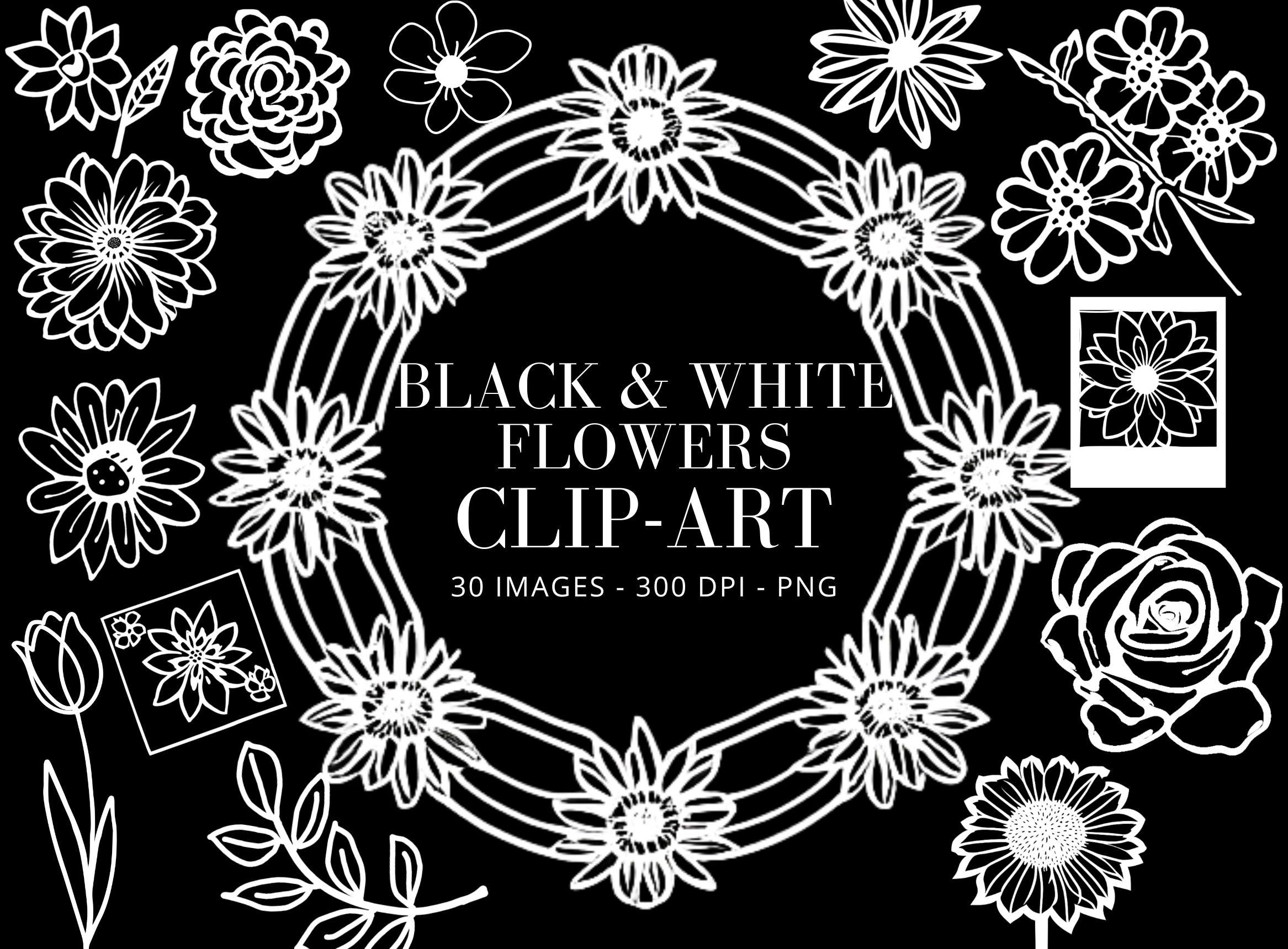 Spring Flower Illustration Bundle: 37pc Hand-Drawn PNG Designs (Digital Download)