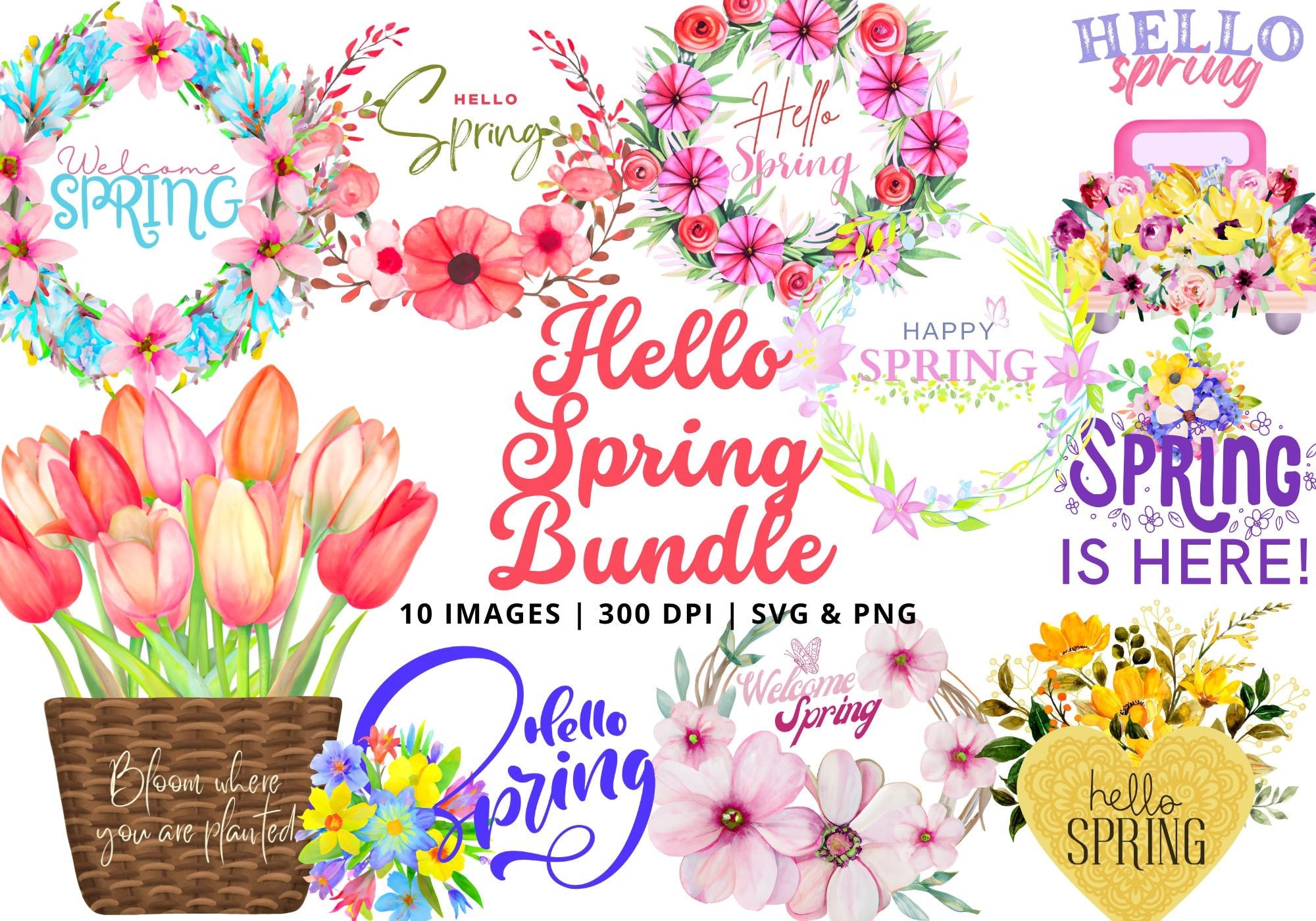 Hello Spring Clipart Bundle: Watercolor Floral PNG Designs (SVG & PNG)