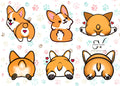 Corgi Butt Clipart Bundle: Fluffy Dog PNG Designs (PDF & SVG)
