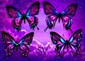 Fantasy Butterfly Graphics Bundle: Purple & Blue PNG Clipart