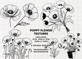 Poppy Flower Clipart: Black and White Floral Designs (SVG, PNG, JPG)