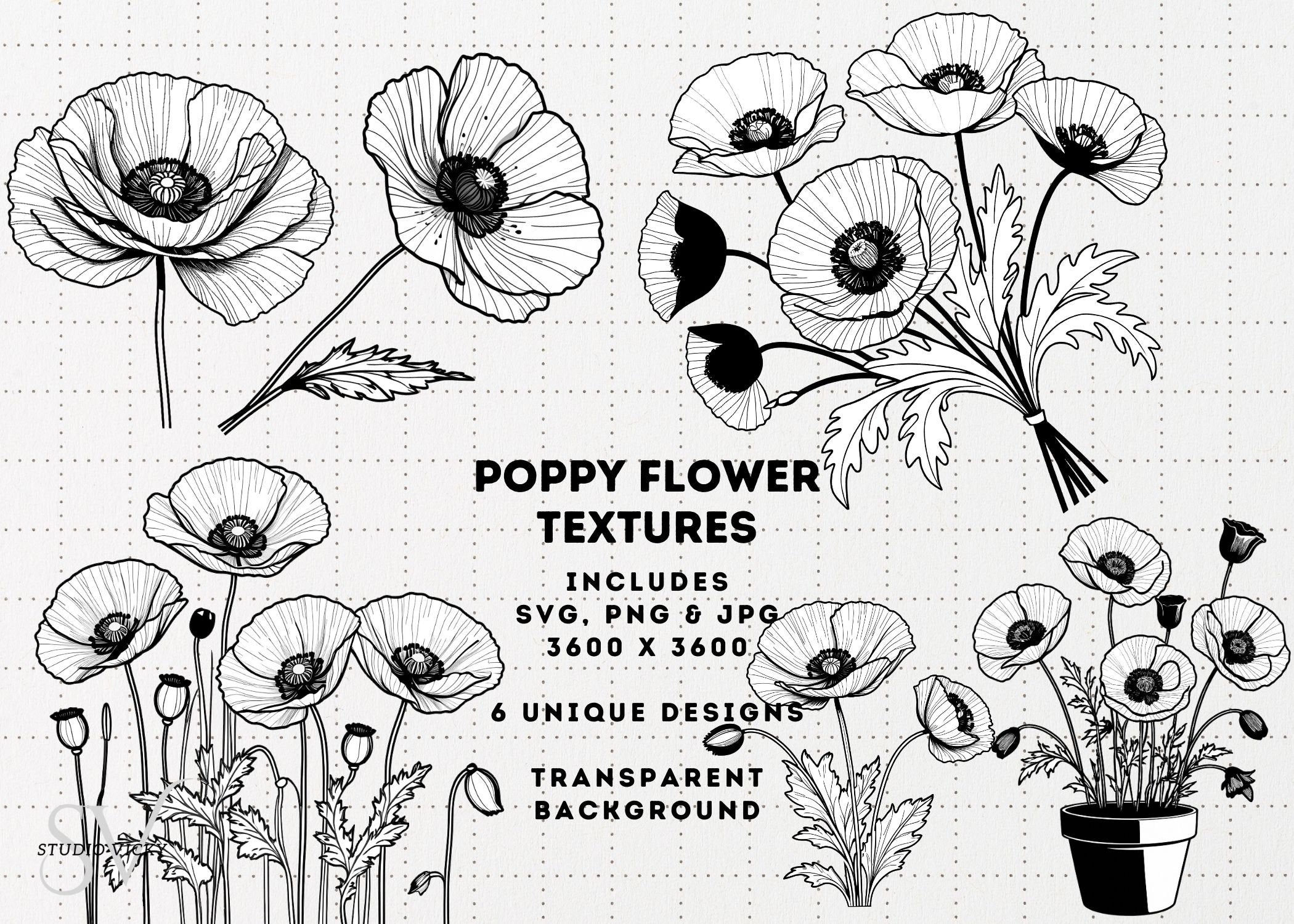 Poppy Flower Clipart: Black and White Floral Designs (SVG, PNG, JPG)