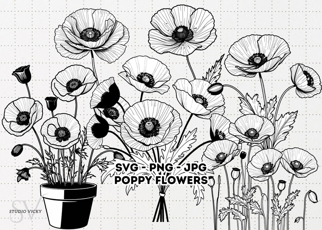 Poppy Flower Clipart: Black and White Floral Designs (SVG, PNG, JPG)
