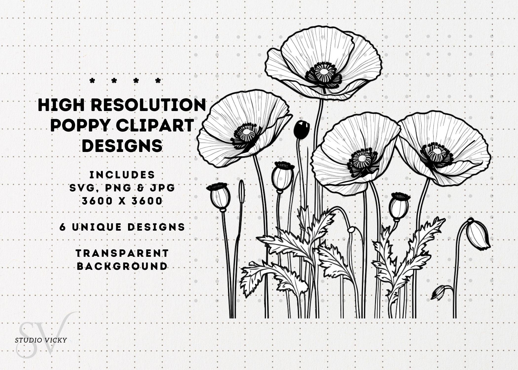 Poppy Flower Clipart: Black and White Floral Designs (SVG, PNG, JPG)