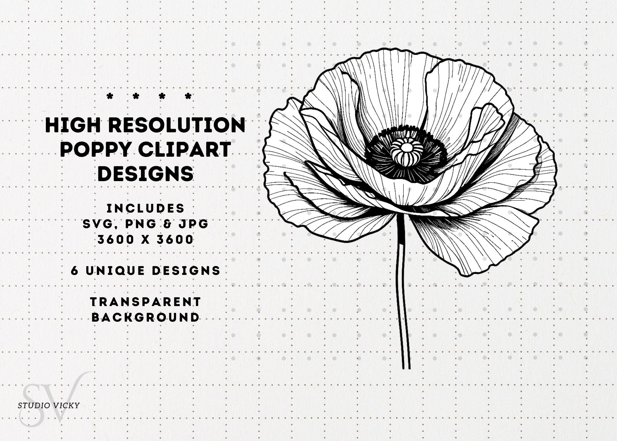 Poppy Flower Clipart: Black and White Floral Designs (SVG, PNG, JPG)