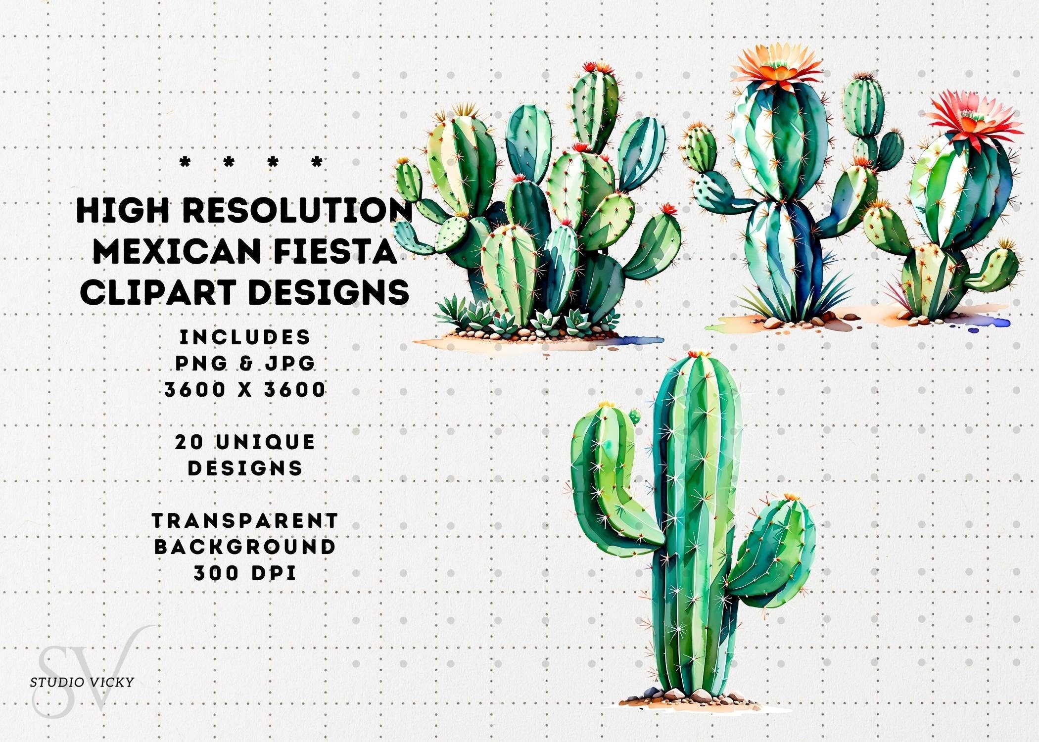 Cinco De Mayo Clipart: Mexican Fiesta Graphics (PNG & JPG)