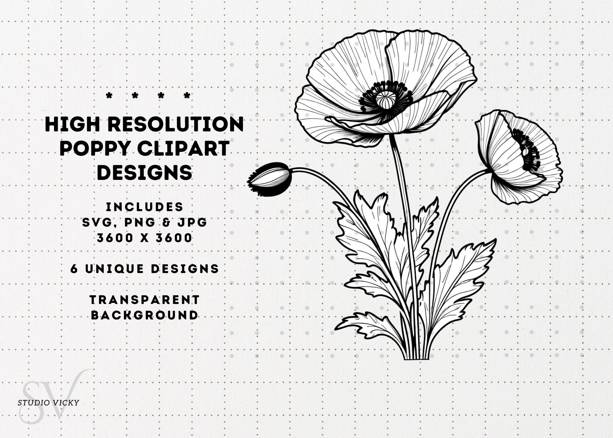 Poppy Flower Clipart: Black and White Floral Designs (SVG, PNG, JPG)