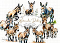 Watercolor Donkey Clipart: Farm Animal PNG, SVG, JPG (Digital Download)