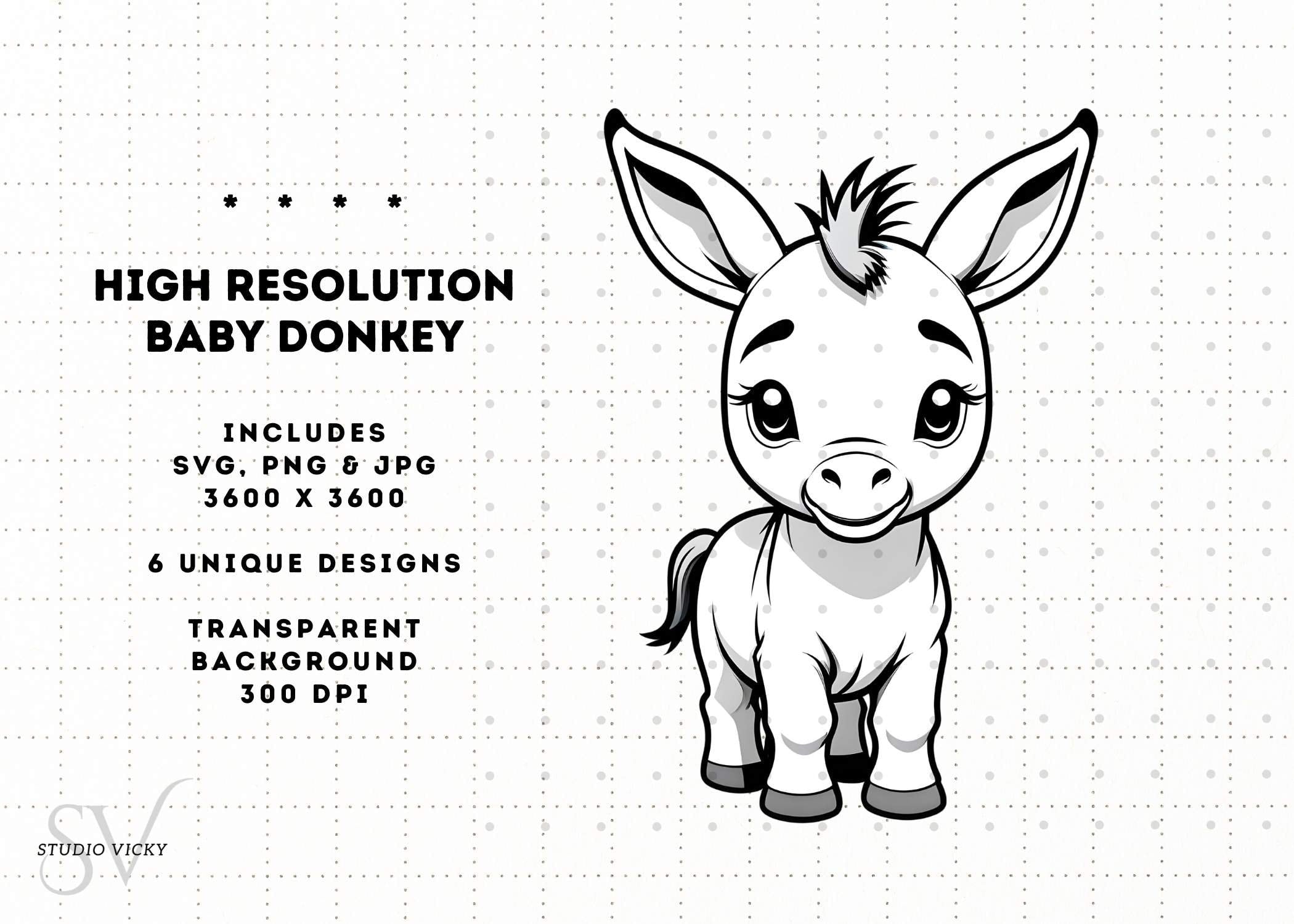 Baby Donkey Clipart Bundle: Foal SVG, PNG (Instant Download