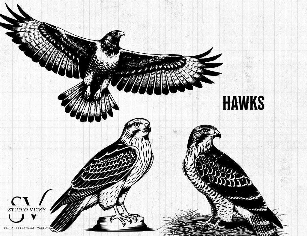 Hawk Clipart: Black and White Wildlife SVG, PNG (Digital Download)