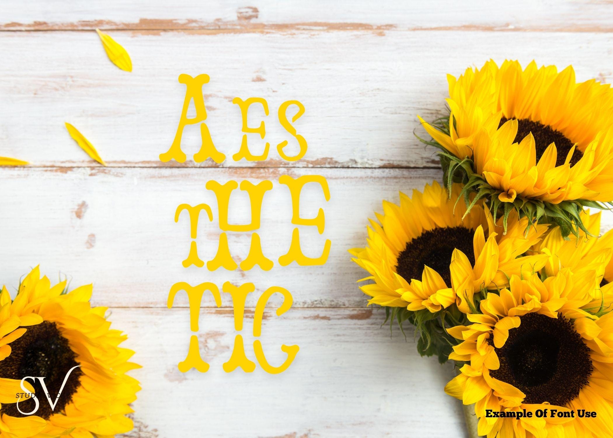 Craft Aesthetic Font: Vintage Decorative Font (OTF, TTF)