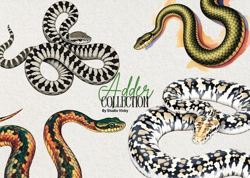 Adder Watercolor Snake Clipart: PNG SVG Graphics (Digital Download)