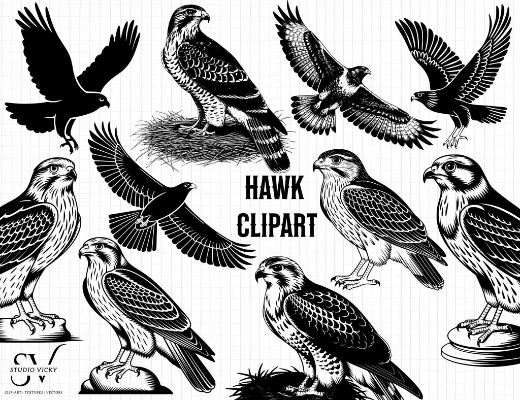 Hawk Clipart: Black and White Wildlife SVG, PNG (Digital Download)