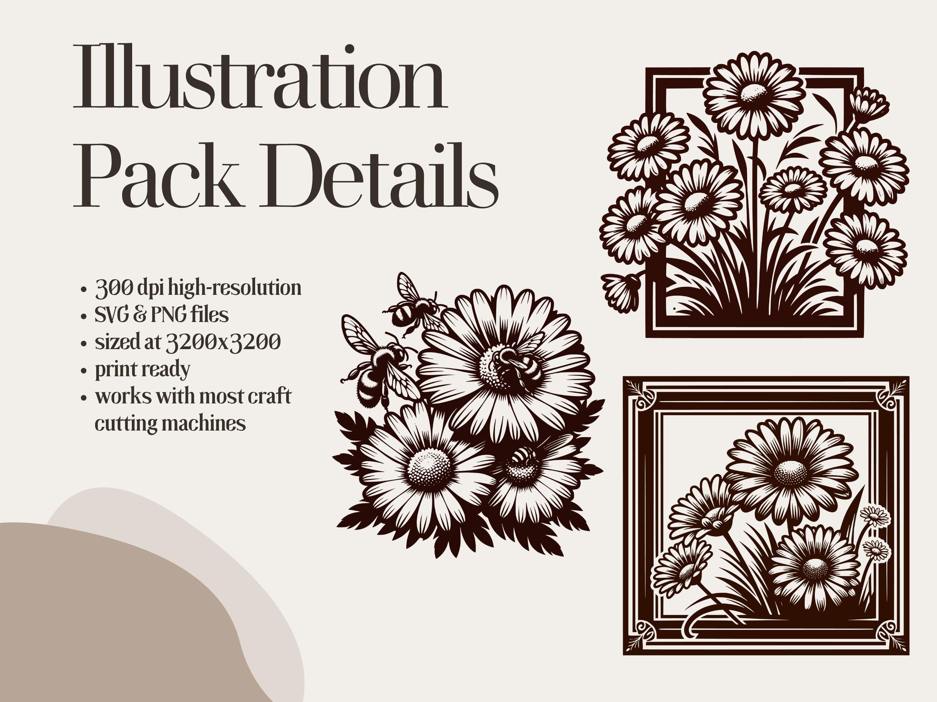 Daisy Clipart: 50+ Floral SVG & PNG Illustrations (Digital Download)