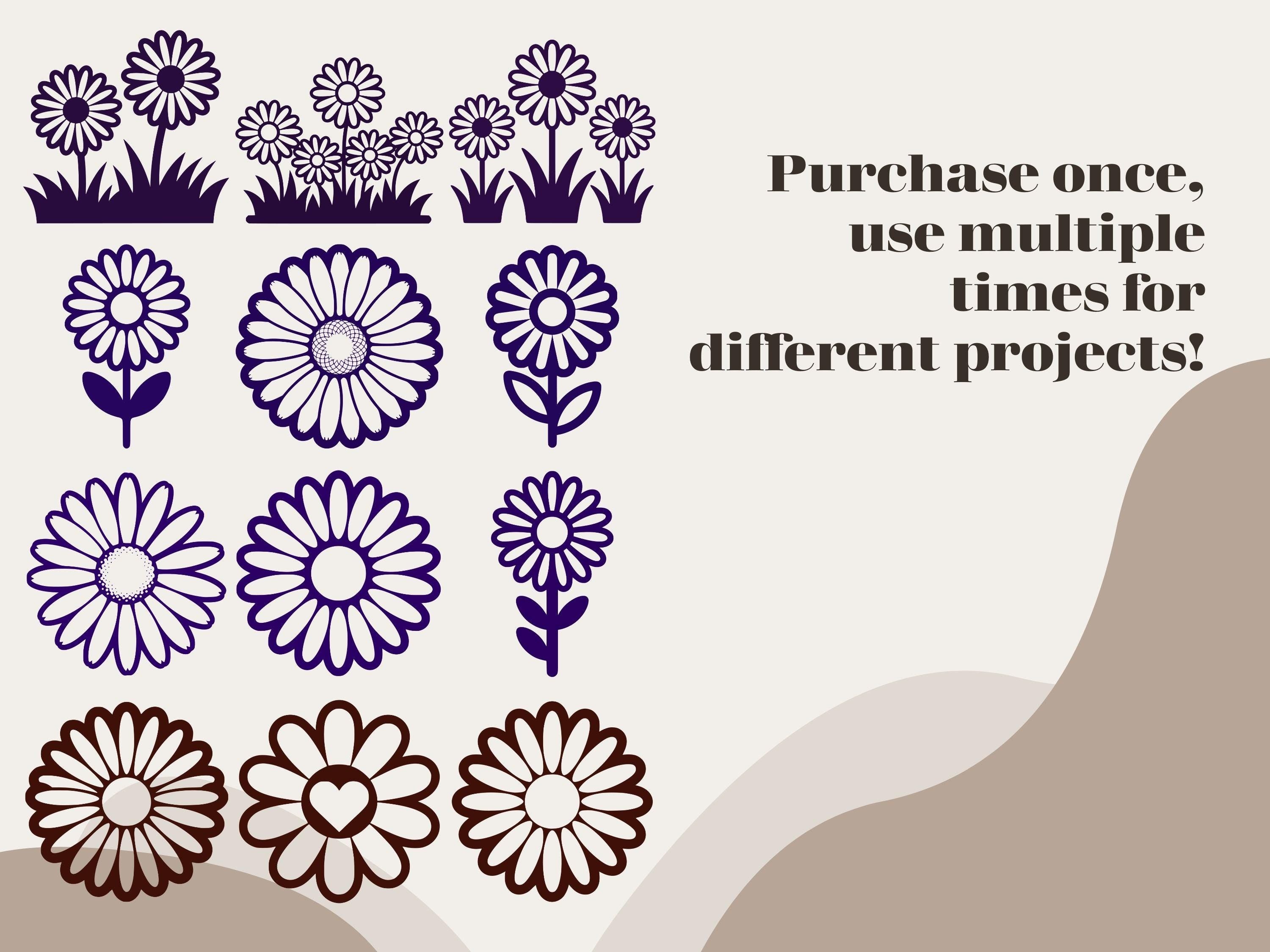 Daisy Clipart: 50+ Floral SVG & PNG Illustrations (Digital Download)