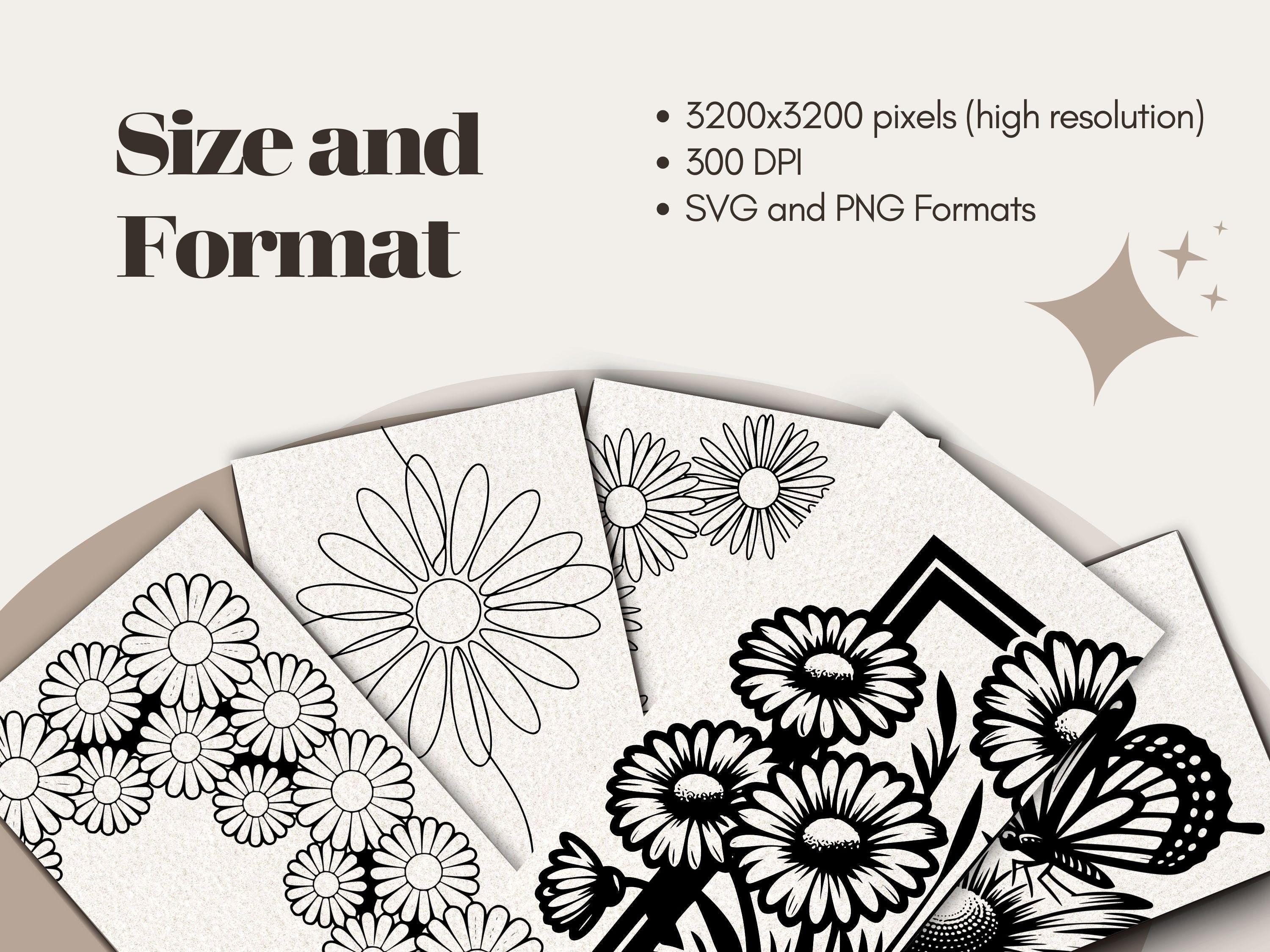 Daisy Clipart: 50+ Floral SVG & PNG Illustrations (Digital Download)