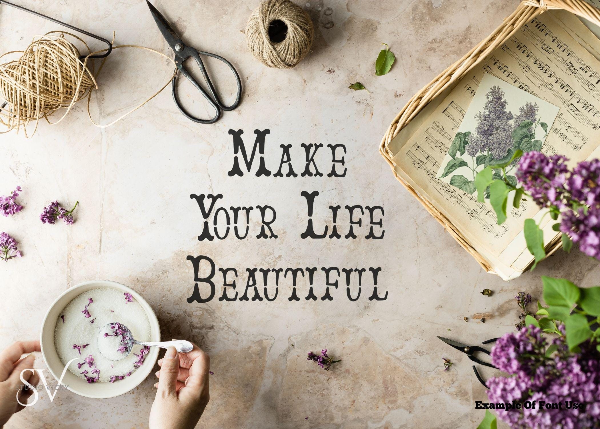 Craft Aesthetic Font: Vintage Decorative Font (OTF, TTF)