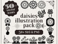 Daisy Clipart: 50+ Floral SVG & PNG Illustrations (Digital Download)