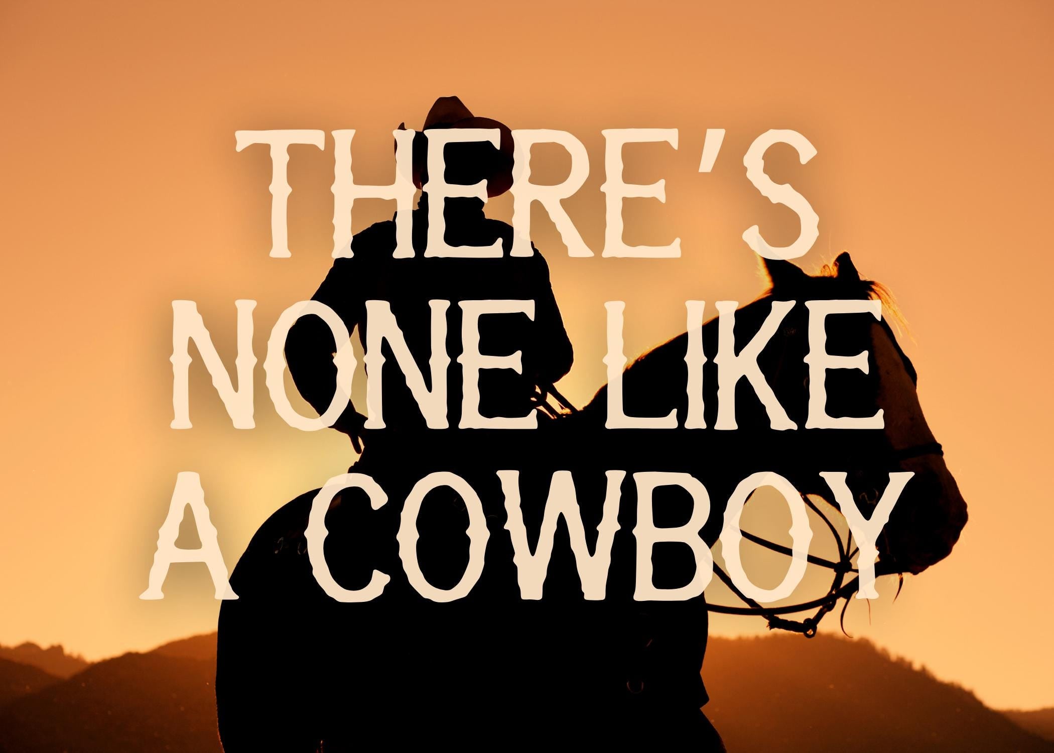 Dodge City Dust Font | Vintage Western Typeface (TTF & OTF)