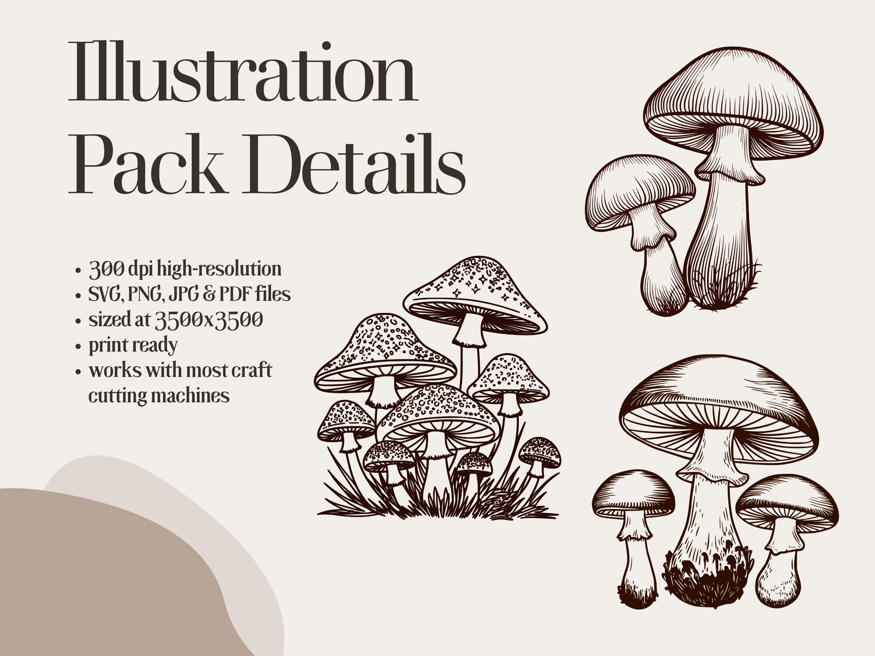 50 Whimsical Mushroom Illustrations, Clipart Bundle (png, jpg, svg, pdf)