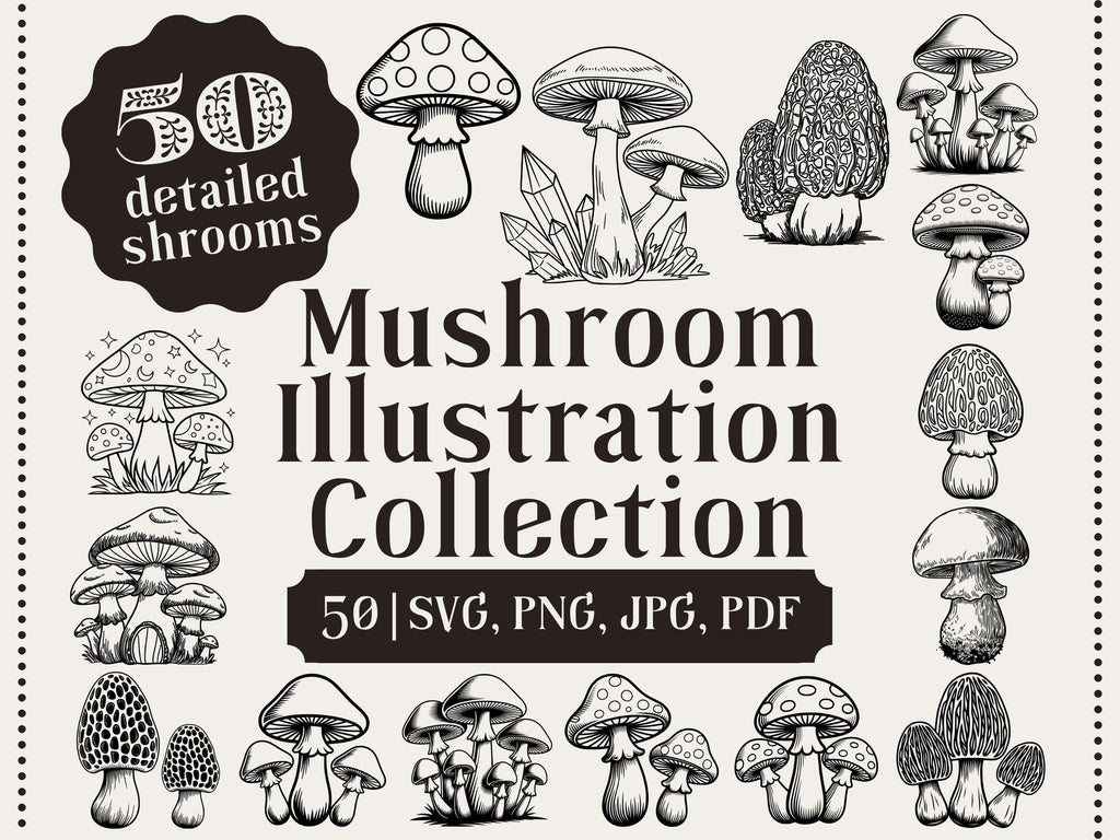 50 Whimsical Mushroom Illustrations, Clipart Bundle (png, jpg, svg, pdf)