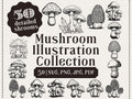 50 Whimsical Mushroom Illustrations, Clipart Bundle (png, jpg, svg, pdf)