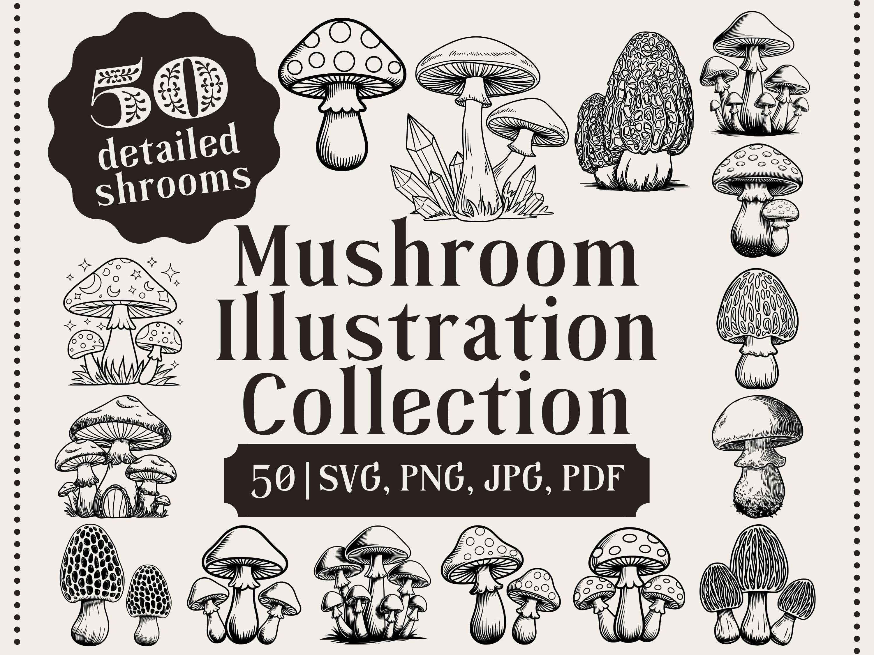 50 Whimsical Mushroom Illustrations, Clipart Bundle (png, jpg, svg, pdf)