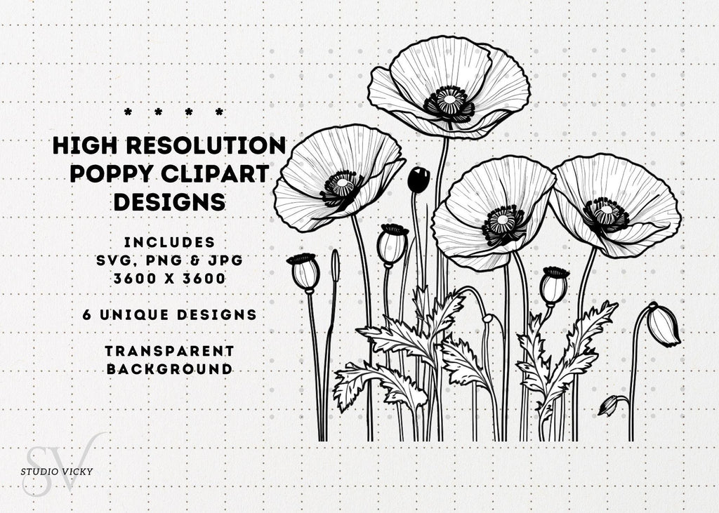 Spring Flower Illustration Bundle: 37pc Hand-Drawn PNG Designs (Digital Download)