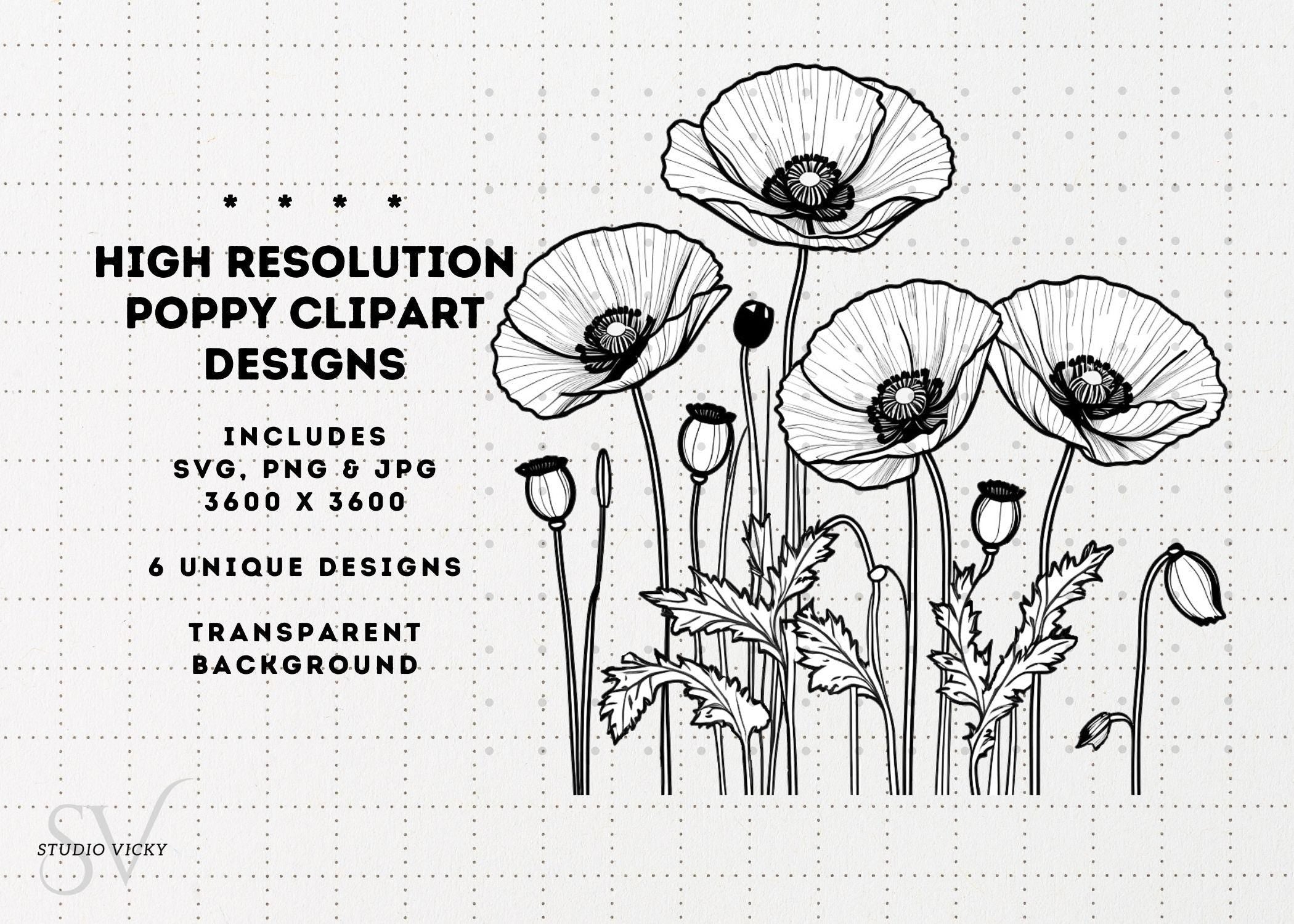 Spring Flower Illustration Bundle: 37pc Hand-Drawn PNG Designs (Digital Download)