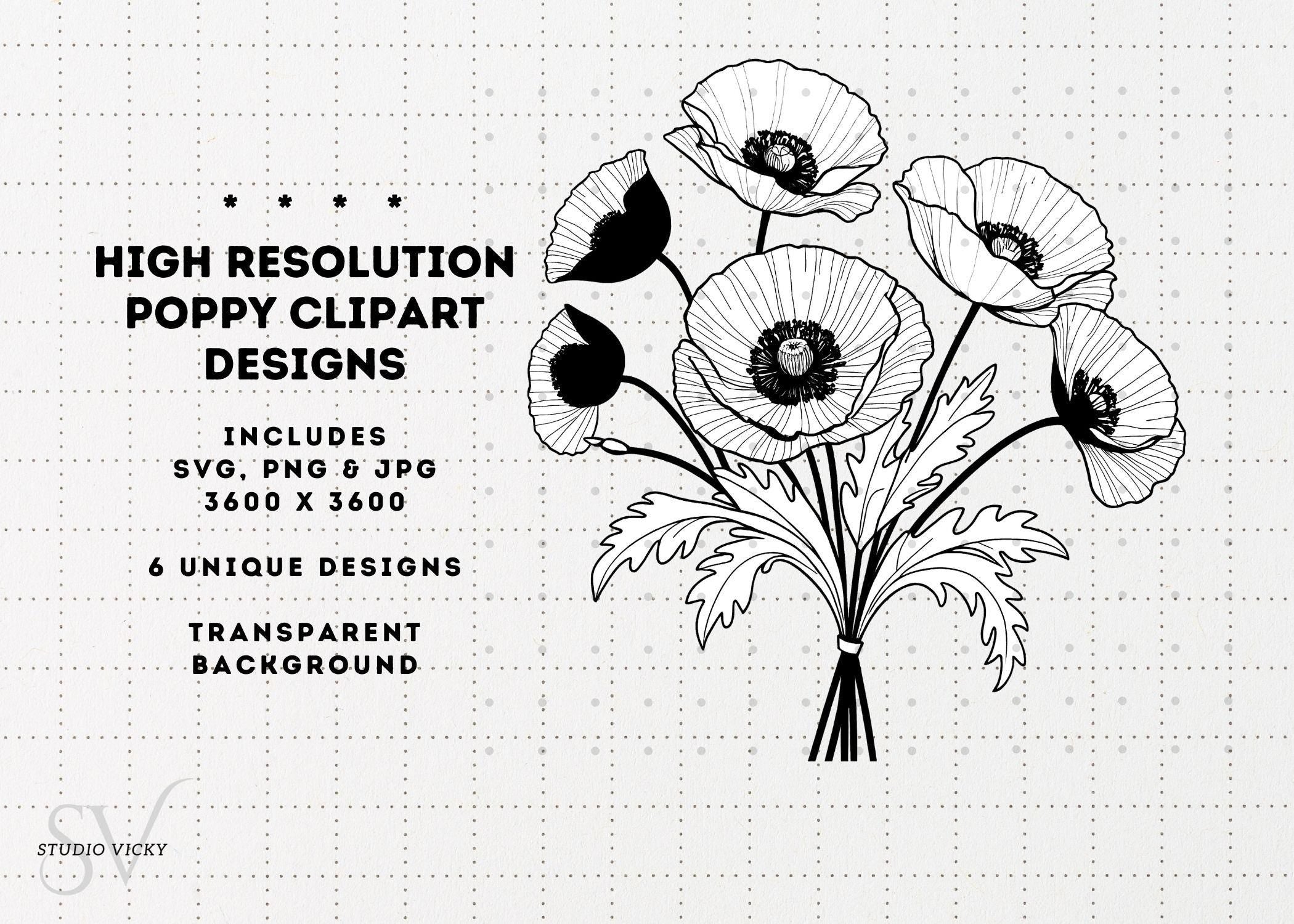 Spring Flower Illustration Bundle: 37pc Hand-Drawn PNG Designs (Digital Download)