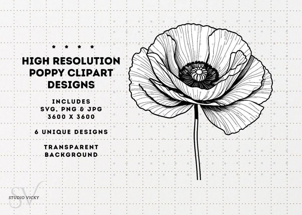 Spring Flower Illustration Bundle: 37pc Hand-Drawn PNG Designs (Digital Download)
