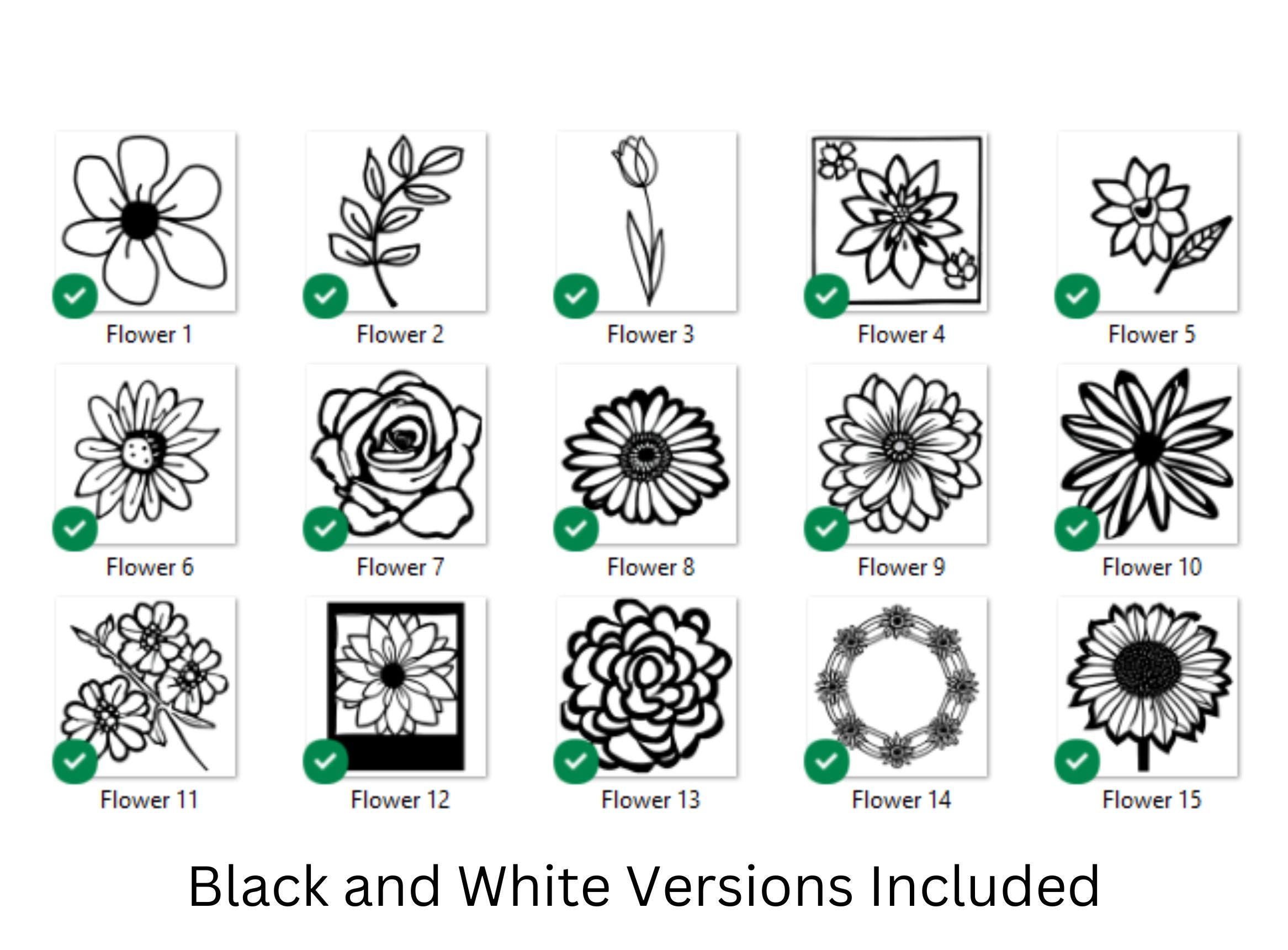 Spring Flower Illustration Bundle: 37pc Hand-Drawn PNG Designs (Digital Download)