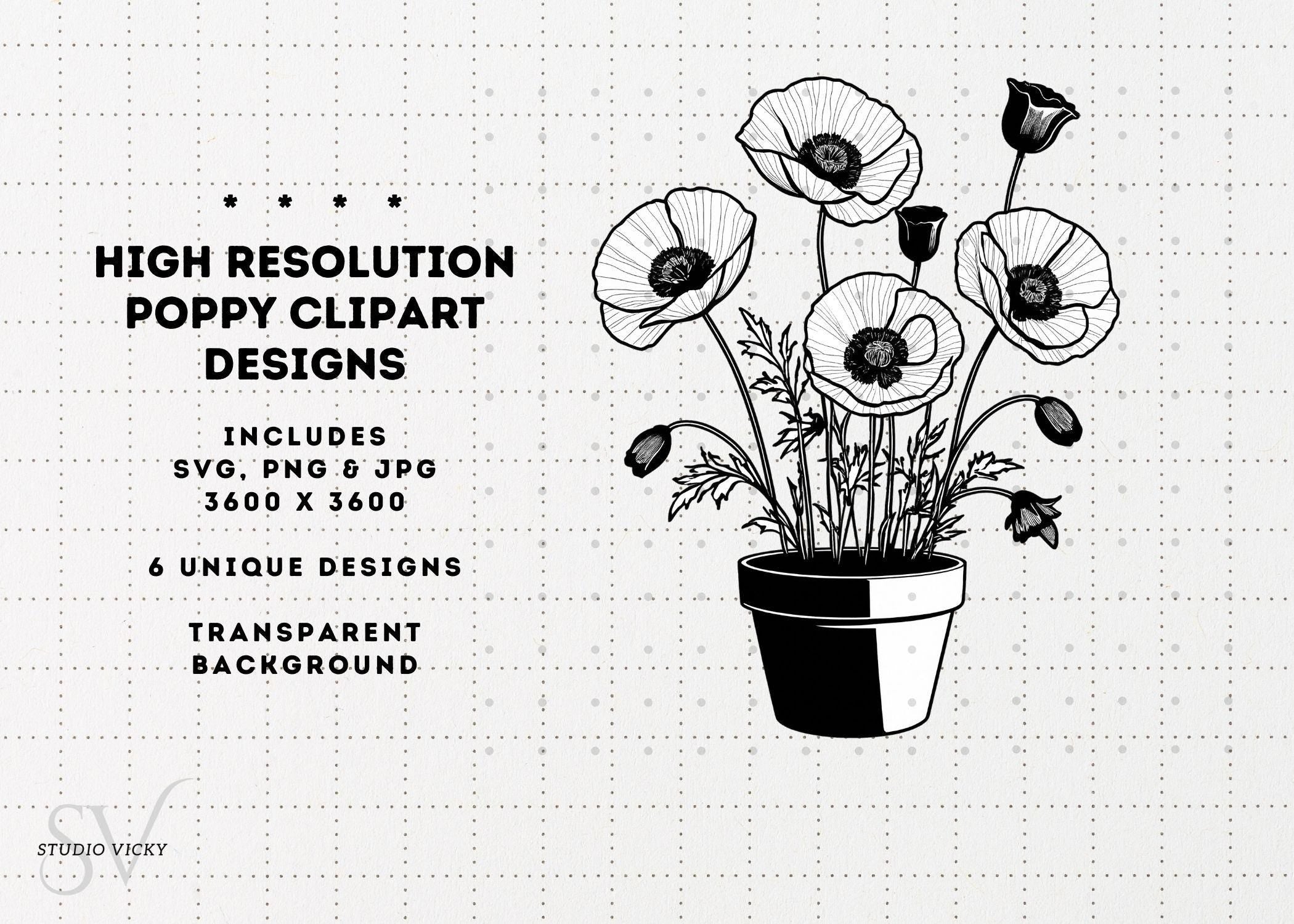 Spring Flower Illustration Bundle: 37pc Hand-Drawn PNG Designs (Digital Download)