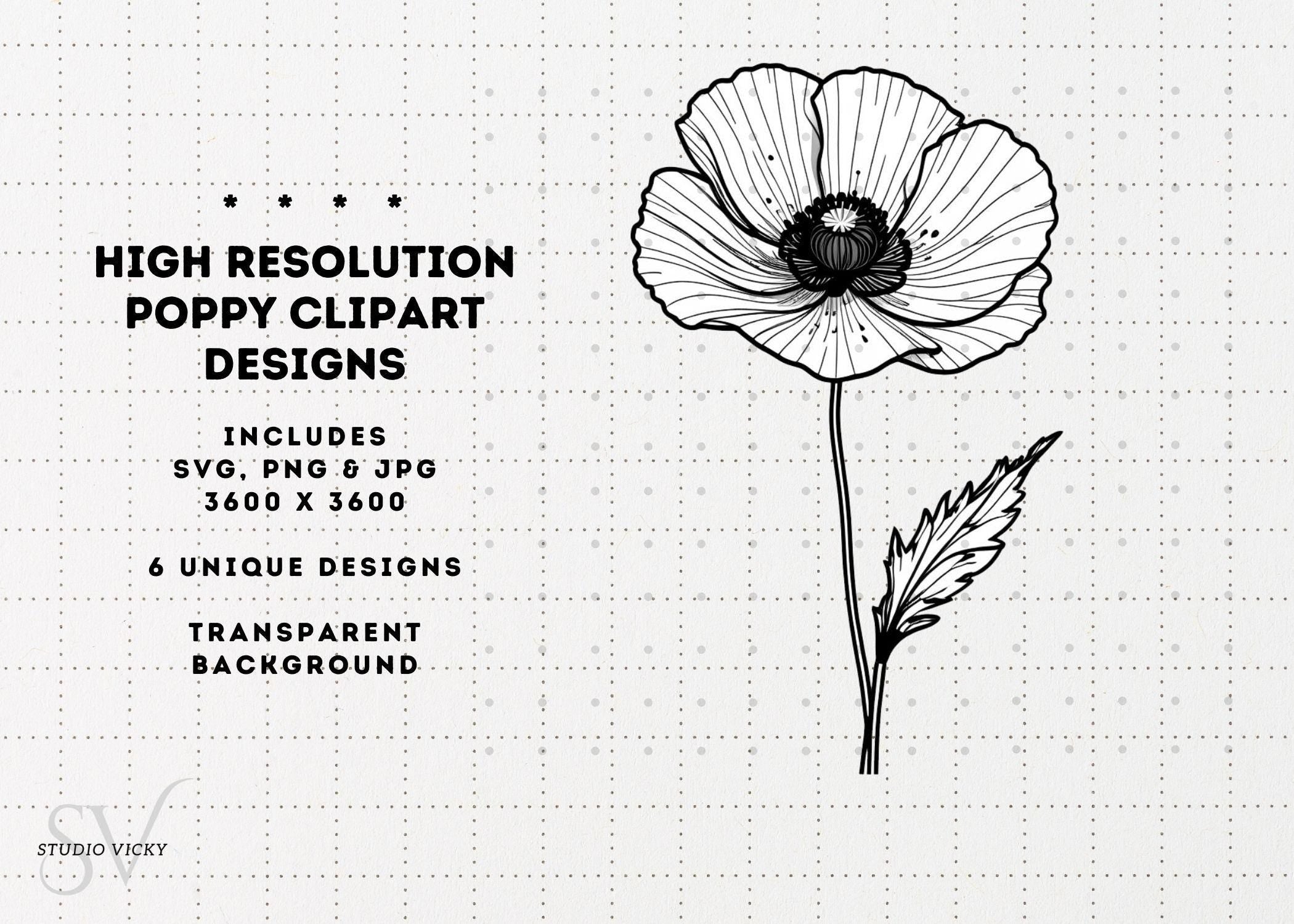 Spring Flower Illustration Bundle: 37pc Hand-Drawn PNG Designs (Digital Download)