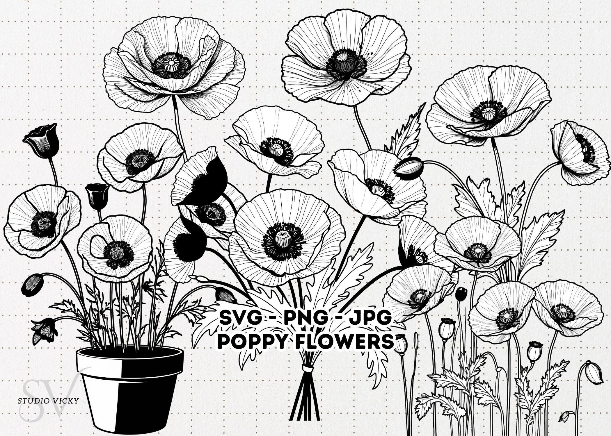 Spring Flower Illustration Bundle: 37pc Hand-Drawn PNG Designs (Digital Download)