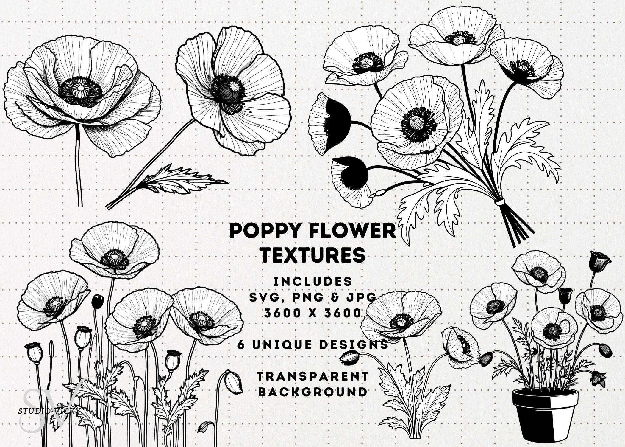 Spring Flower Illustration Bundle: 37pc Hand-Drawn PNG Designs (Digital Download)