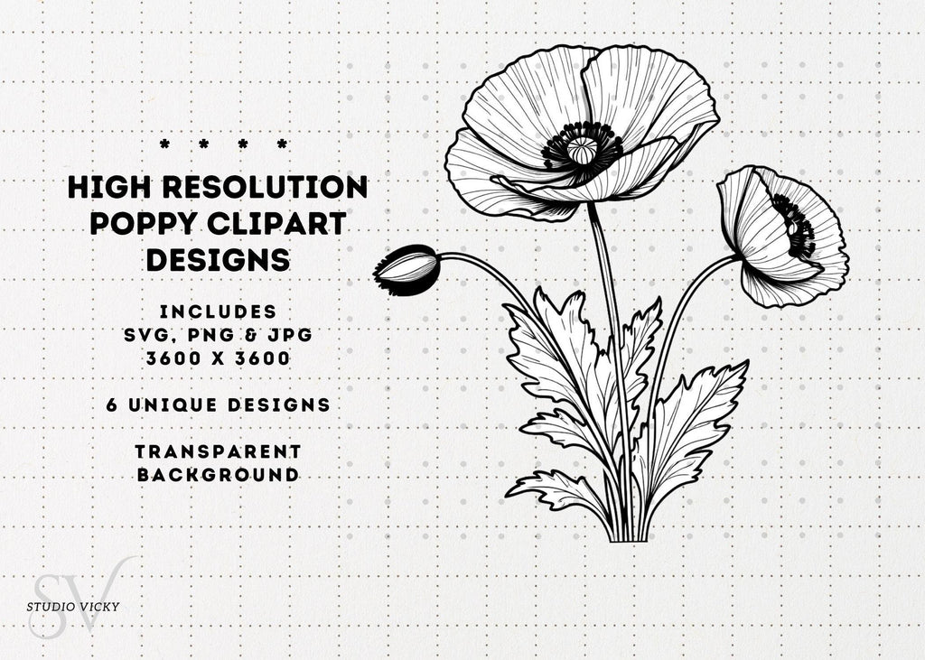 Spring Flower Illustration Bundle: 37pc Hand-Drawn PNG Designs (Digital Download)