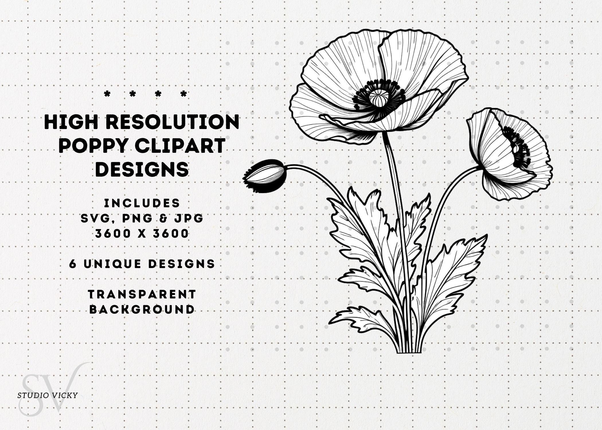 Spring Flower Illustration Bundle: 37pc Hand-Drawn PNG Designs (Digital Download)